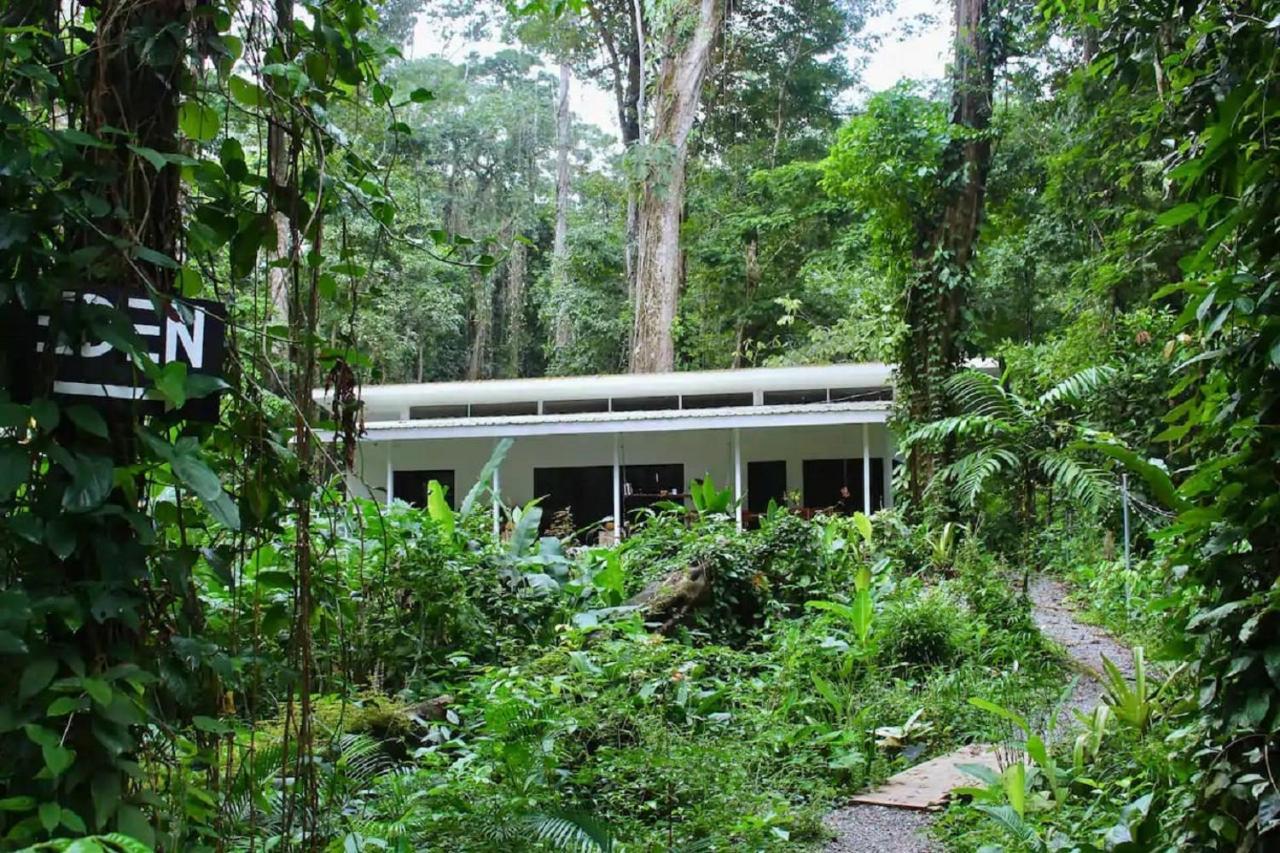 Casa Eden - Modern Peaceful Jungle Apartments โกเกลส ภายนอก รูปภาพ