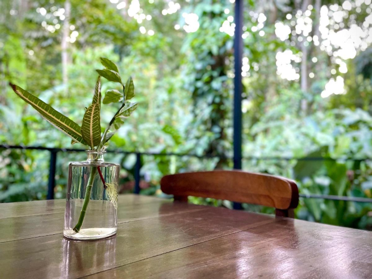 Casa Eden - Modern Peaceful Jungle Apartments โกเกลส ภายนอก รูปภาพ