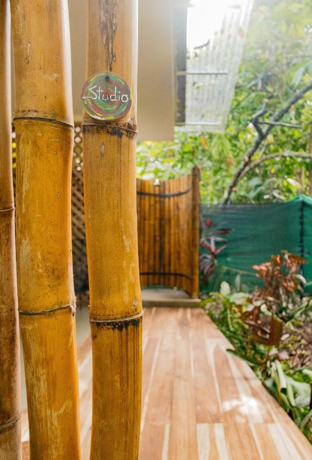 Casa Eden - Modern Peaceful Jungle Apartments โกเกลส ภายนอก รูปภาพ