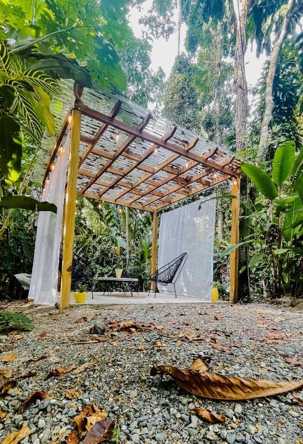 Casa Eden - Modern Peaceful Jungle Apartments โกเกลส ภายนอก รูปภาพ