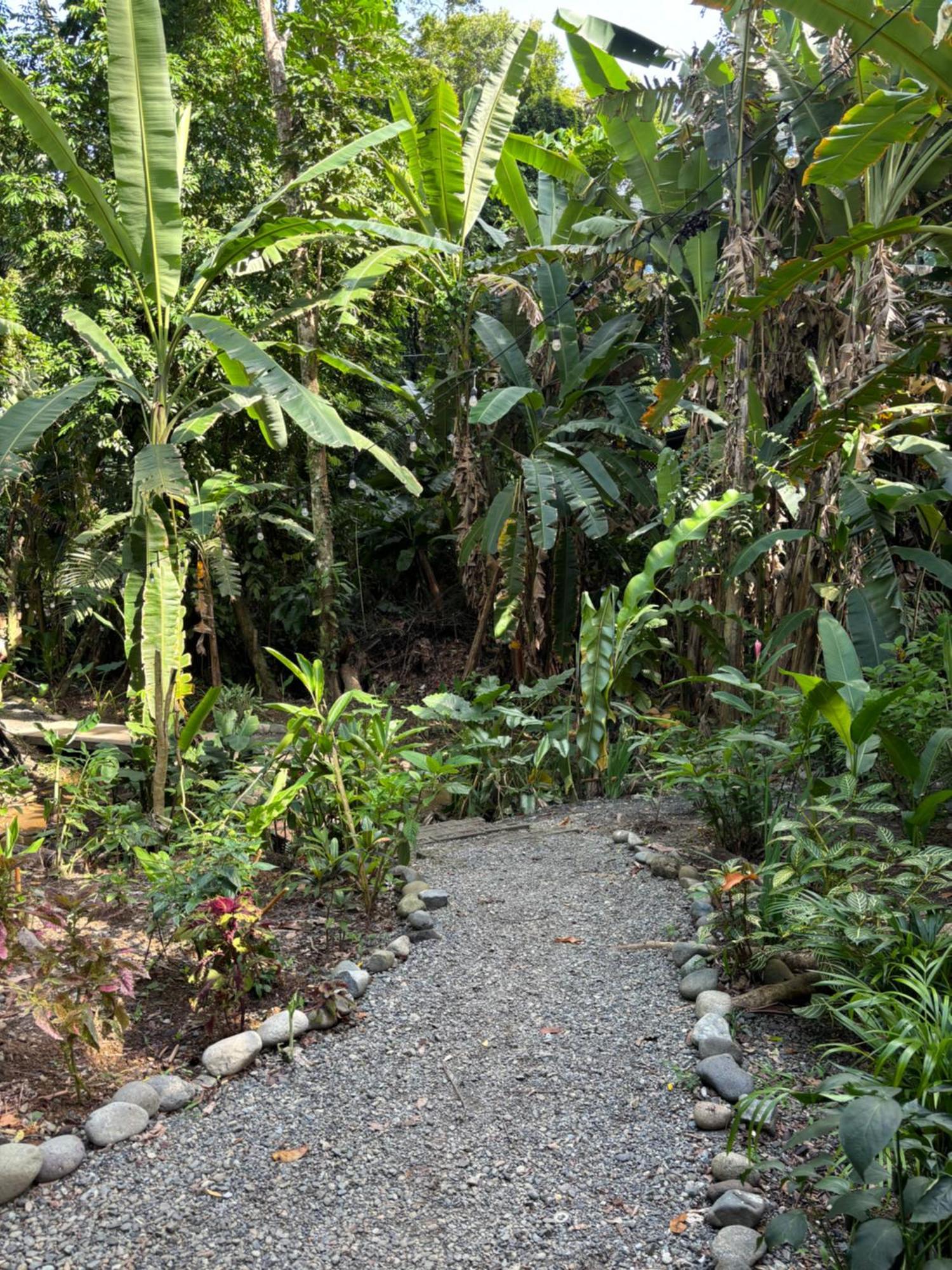 Casa Eden - Modern Peaceful Jungle Apartments โกเกลส ภายนอก รูปภาพ