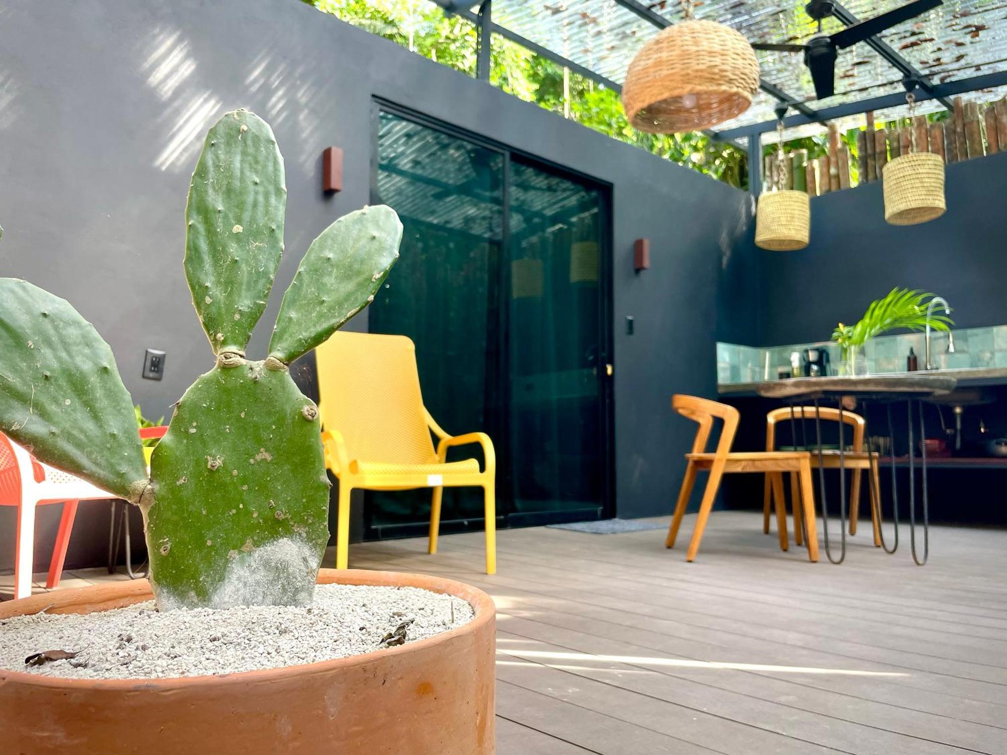 Casa Eden - Modern Peaceful Jungle Apartments โกเกลส ภายนอก รูปภาพ