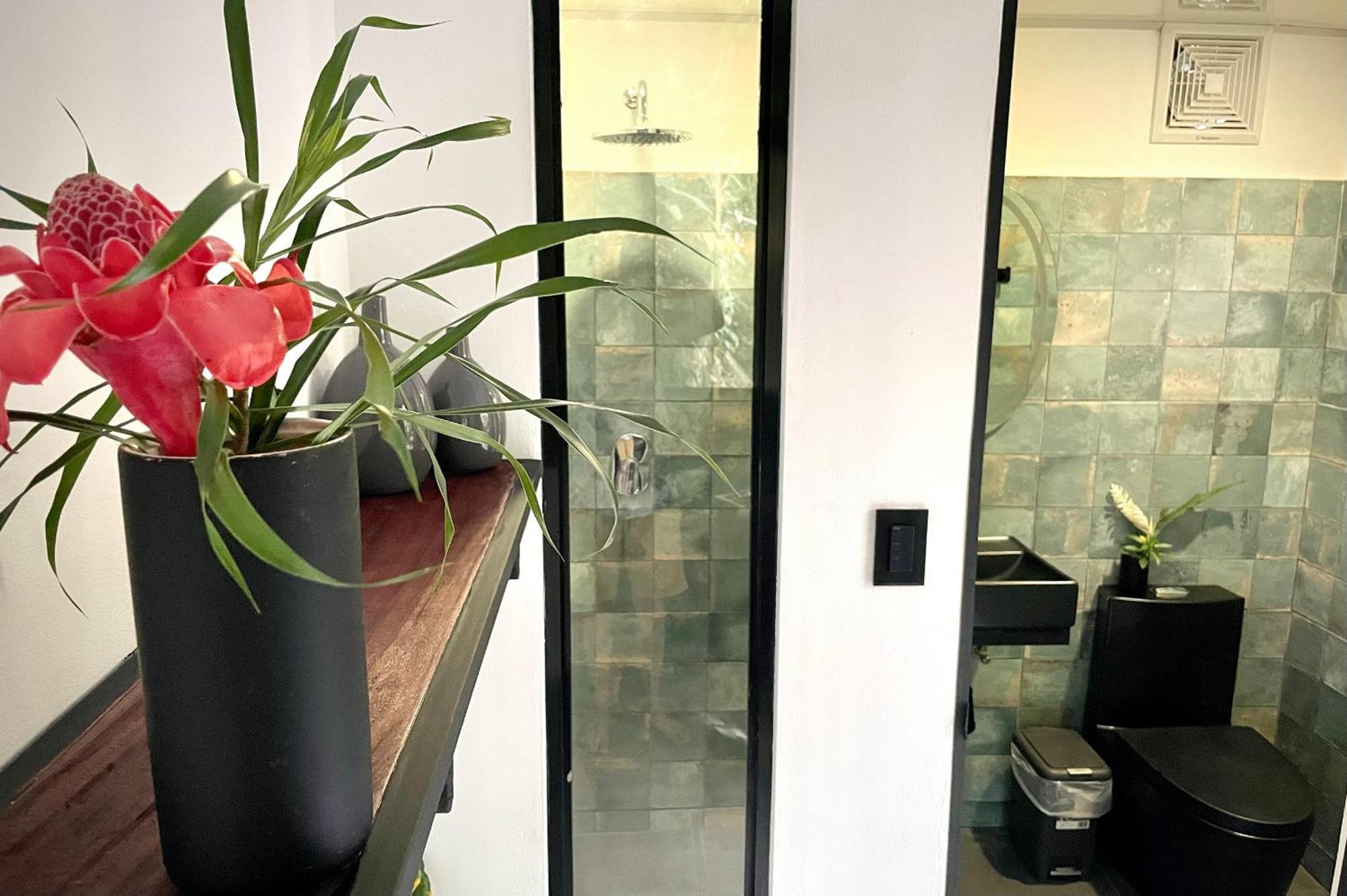Casa Eden - Modern Peaceful Jungle Apartments โกเกลส ภายนอก รูปภาพ